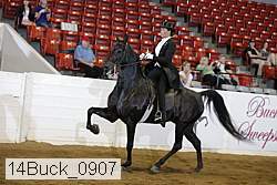 14buck_0907 proof