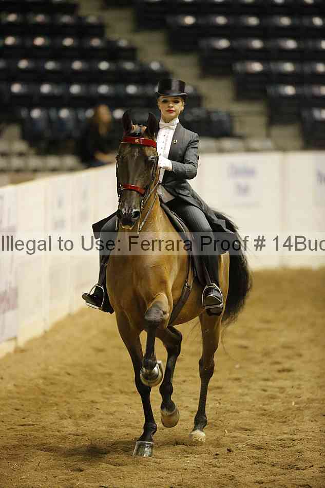 Proof 14buck_0908