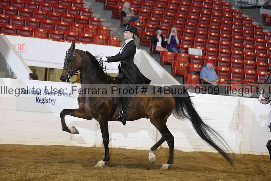 Proof 14buck_0909