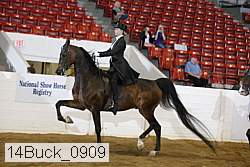 14buck_0909 proof