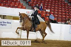14buck_0911 proof