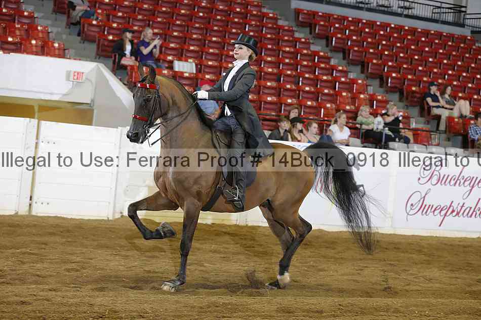Proof 14buck_0918