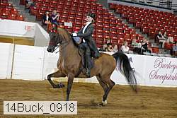14buck_0918 proof