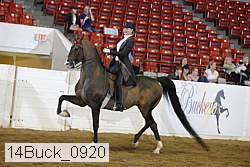 14buck_0920 proof