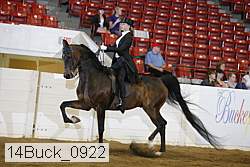 14buck_0922 proof