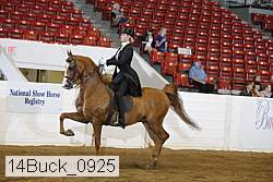 14buck_0925 proof