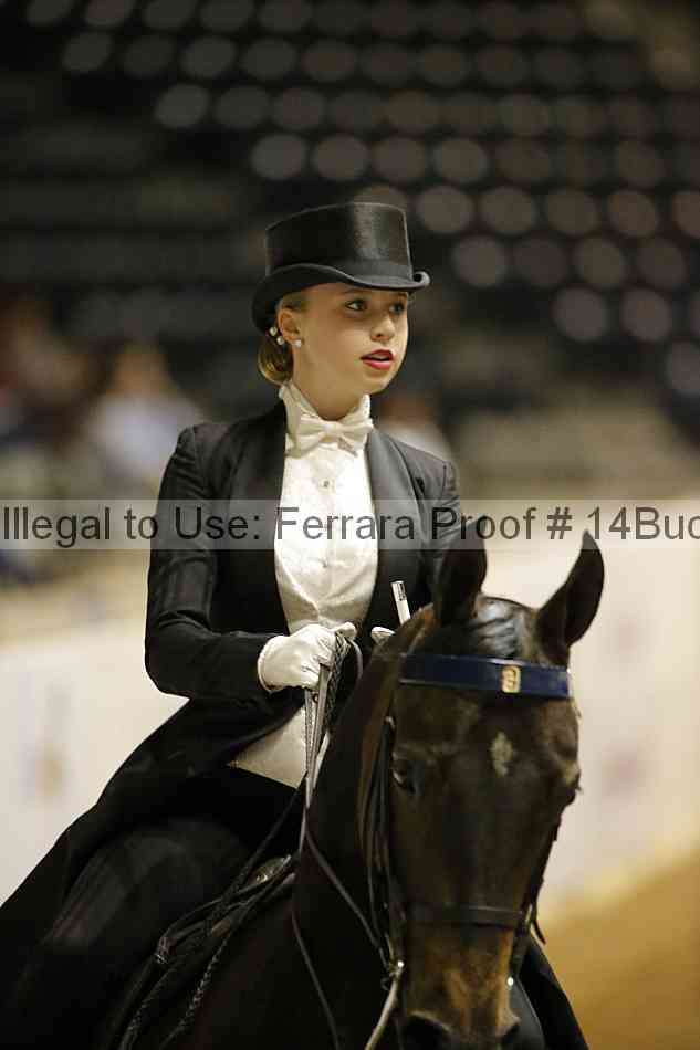 Proof 14buck_0926