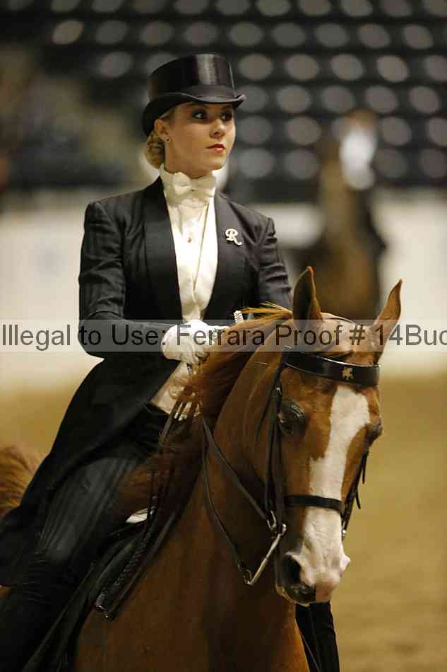 Proof 14buck_0928
