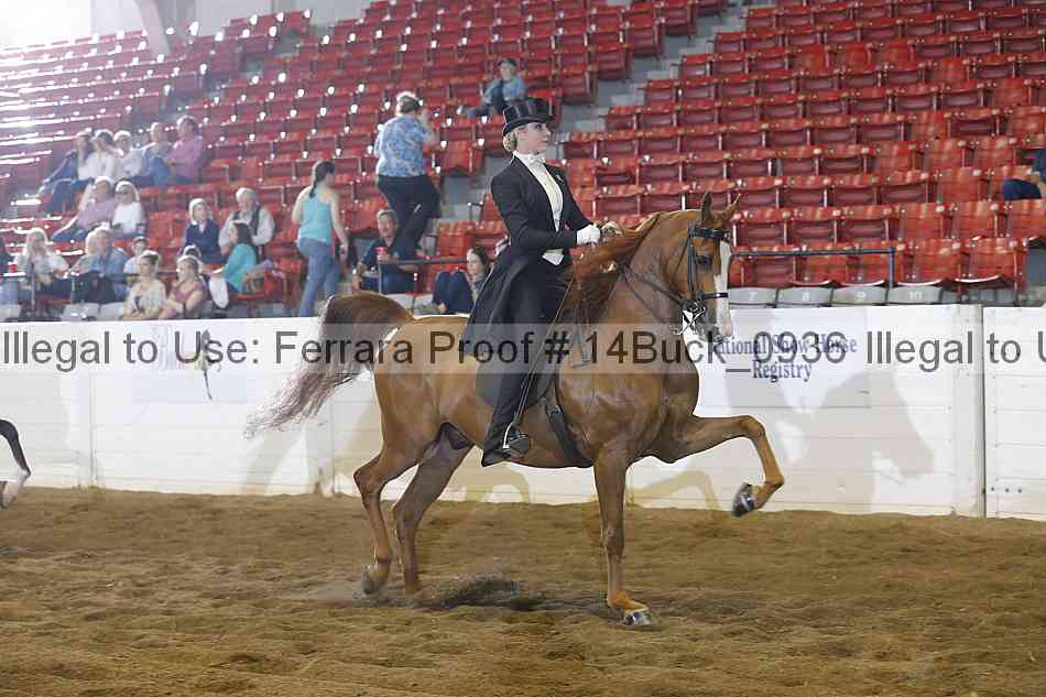 Proof 14buck_0936
