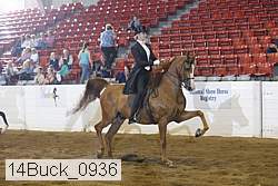 14buck_0936 proof
