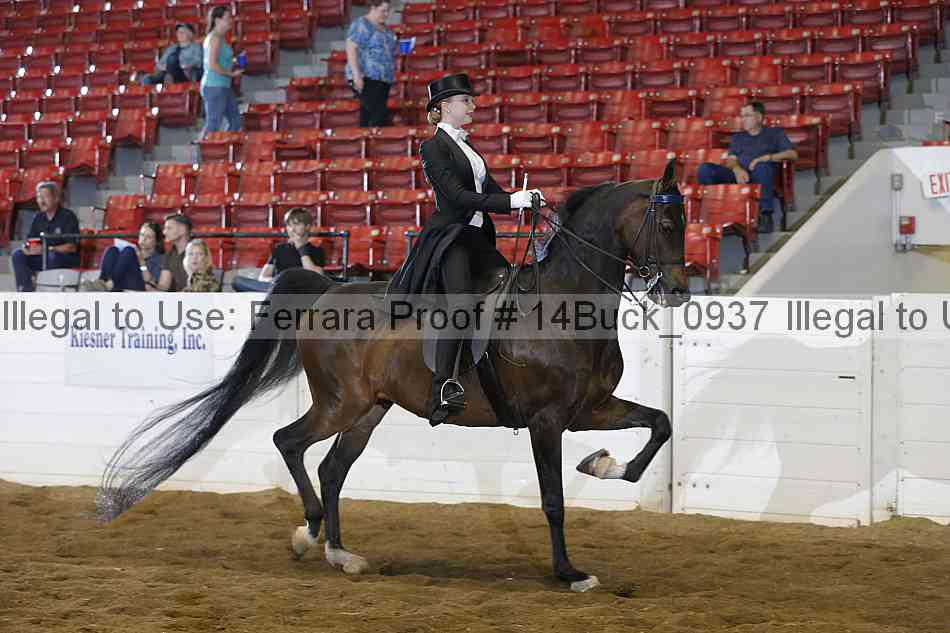 Proof 14buck_0937