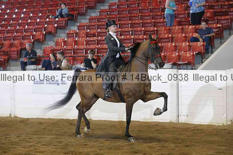 Proof 14buck_0938
