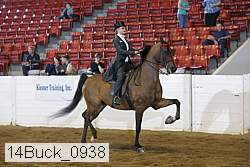 14buck_0938 proof