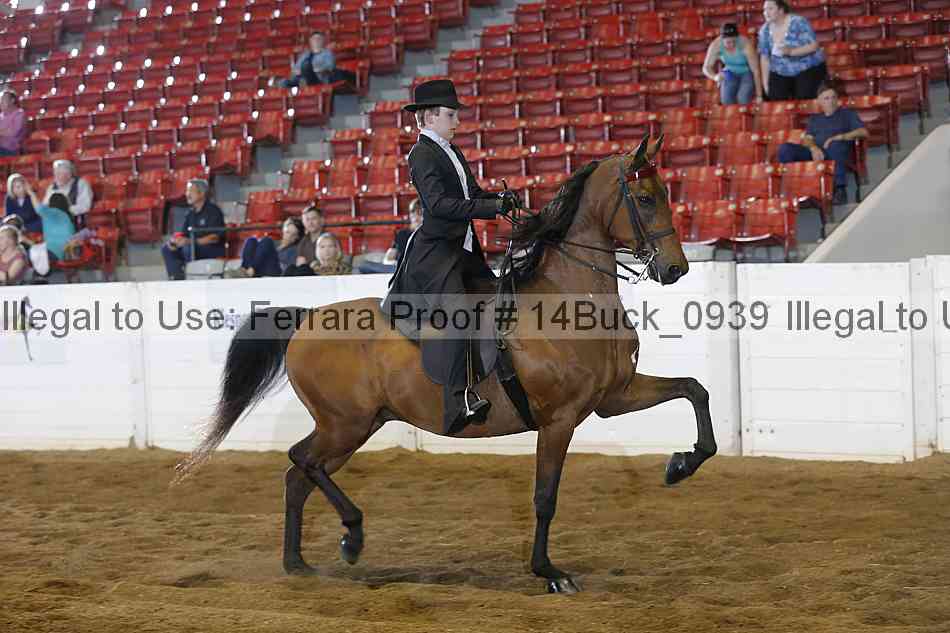 Proof 14buck_0939