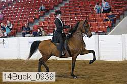 14buck_0939 proof