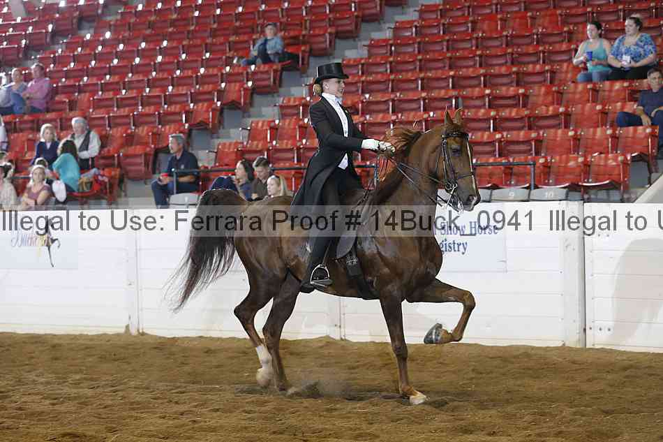 Proof 14buck_0941