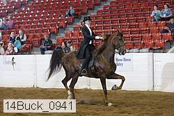 14buck_0941 proof