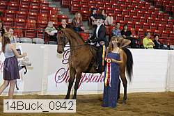 14buck_0942 proof