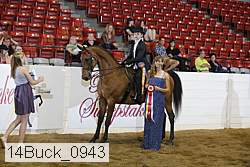 14buck_0943 proof