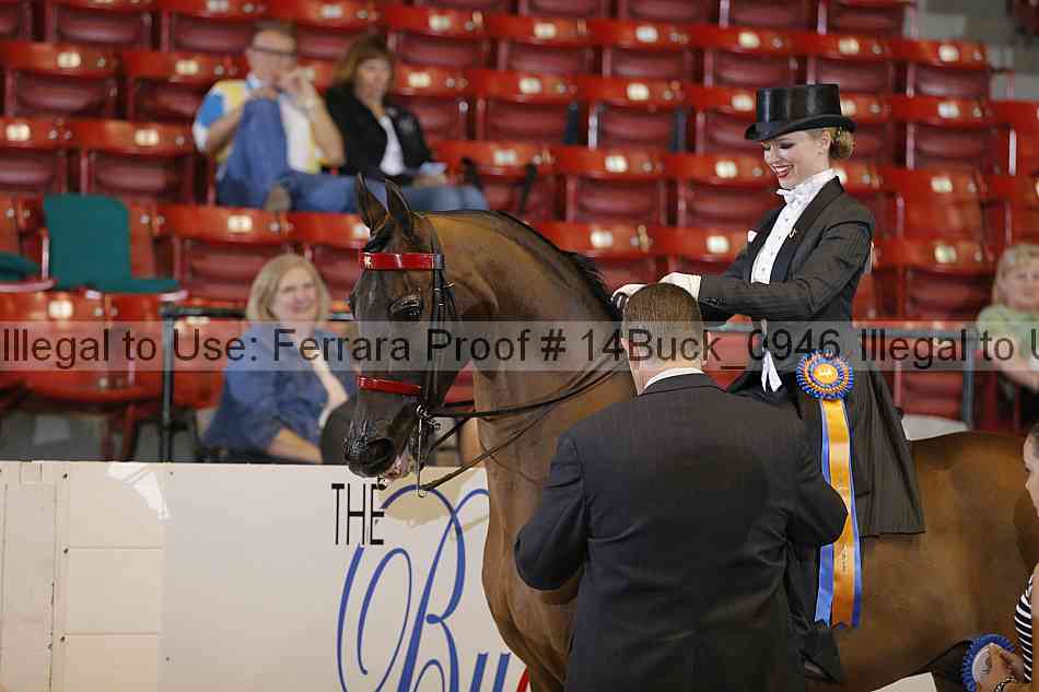 Proof 14buck_0946