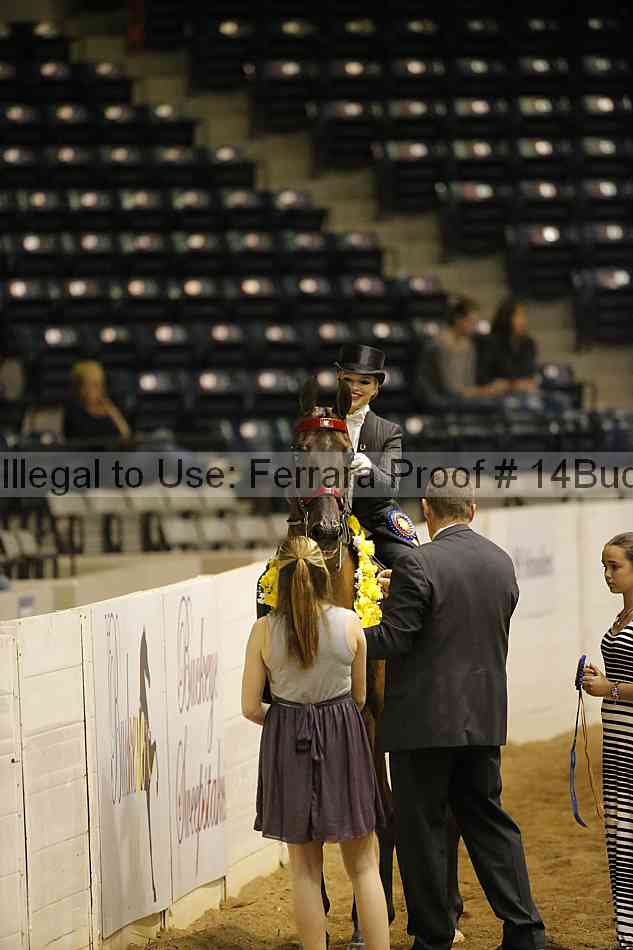 Proof 14buck_0948