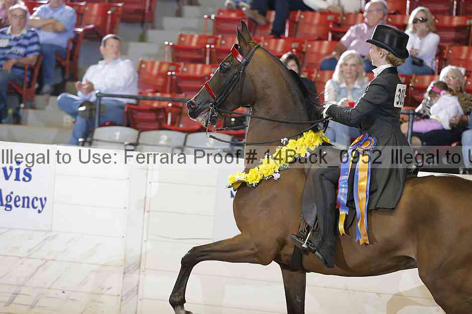 Proof 14buck_0952
