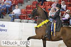 14buck_0952 proof