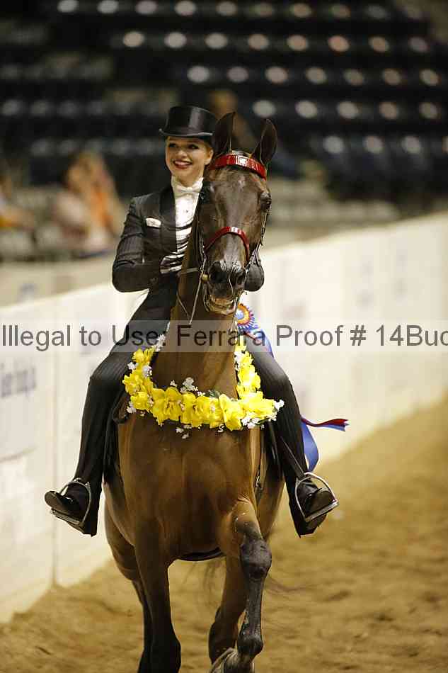 Proof 14buck_0953