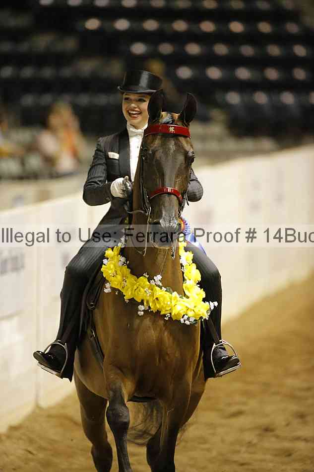 Proof 14buck_0954