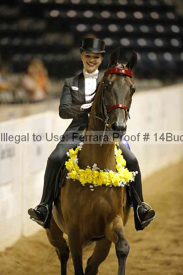 Proof 14buck_0955
