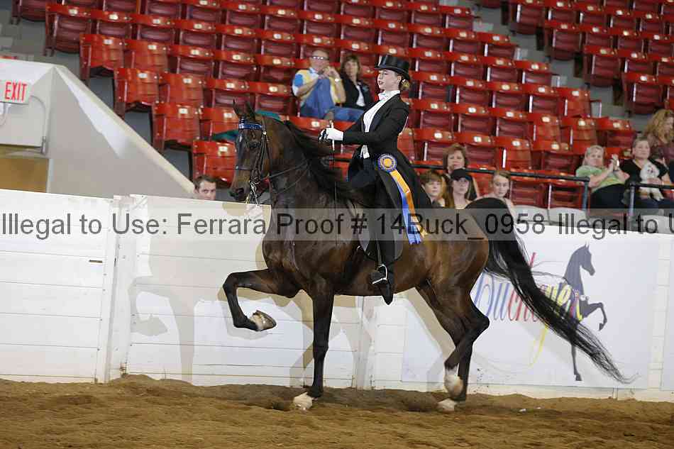 Proof 14buck_0958