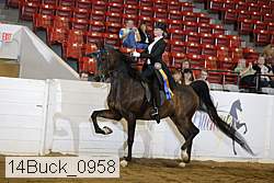 14buck_0958 proof