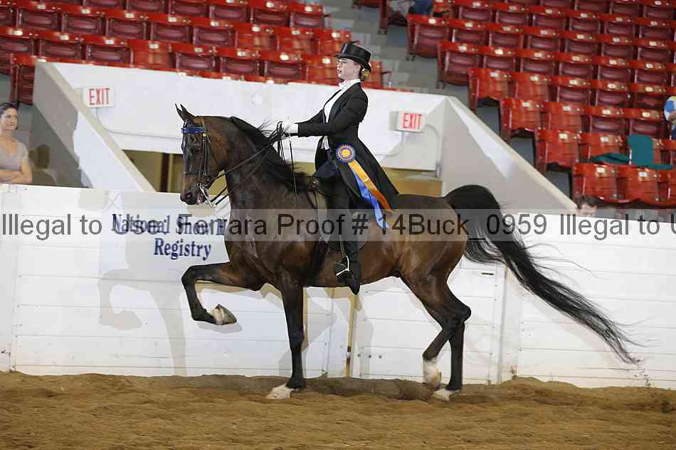 Proof 14buck_0959