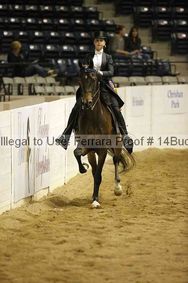 Proof 14buck_0960