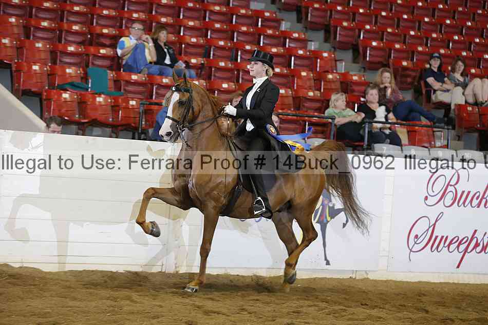 Proof 14buck_0962