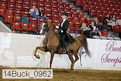 14buck_0962 proof
