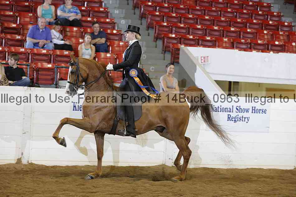 Proof 14buck_0963