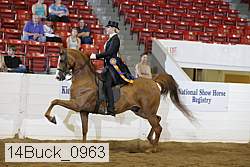 14buck_0963 proof