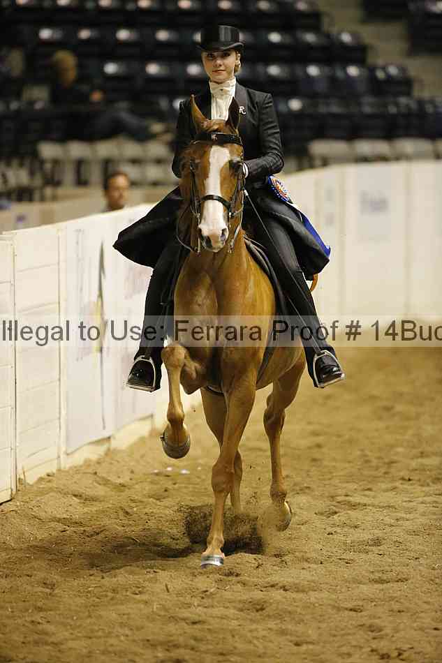 Proof 14buck_0964