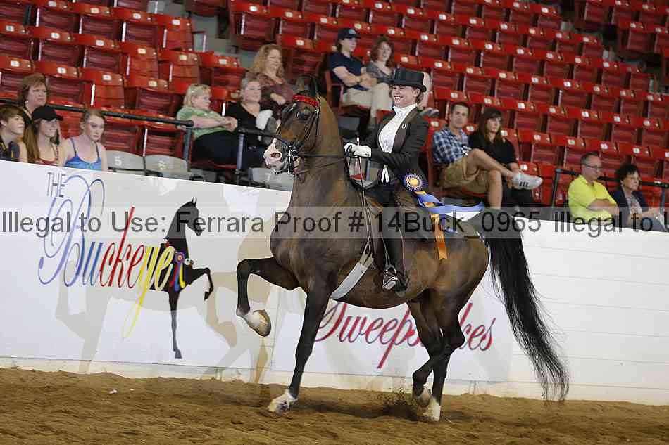 Proof 14buck_0965