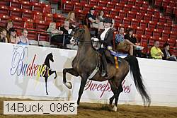 14buck_0965 proof