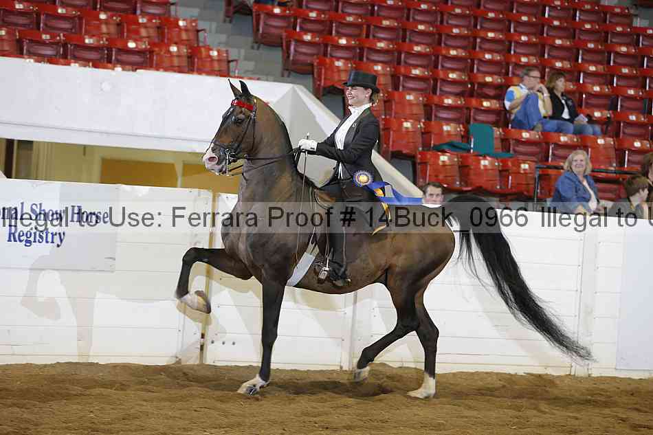 Proof 14buck_0966