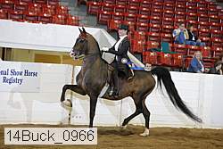 14buck_0966 proof