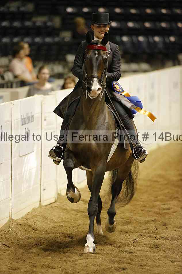 Proof 14buck_0967