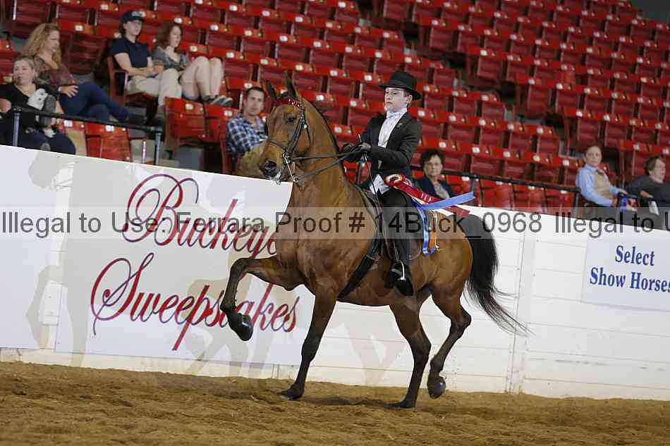 Proof 14buck_0968