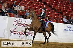 14buck_0968 proof