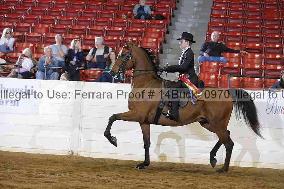 Proof 14buck_0970
