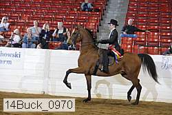 14buck_0970 proof