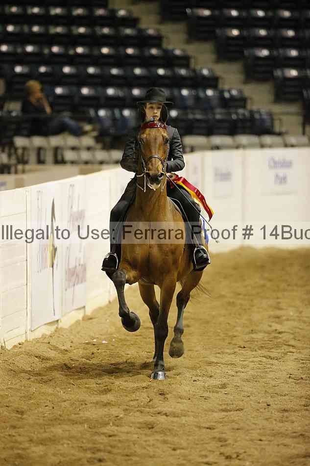 Proof 14buck_0971