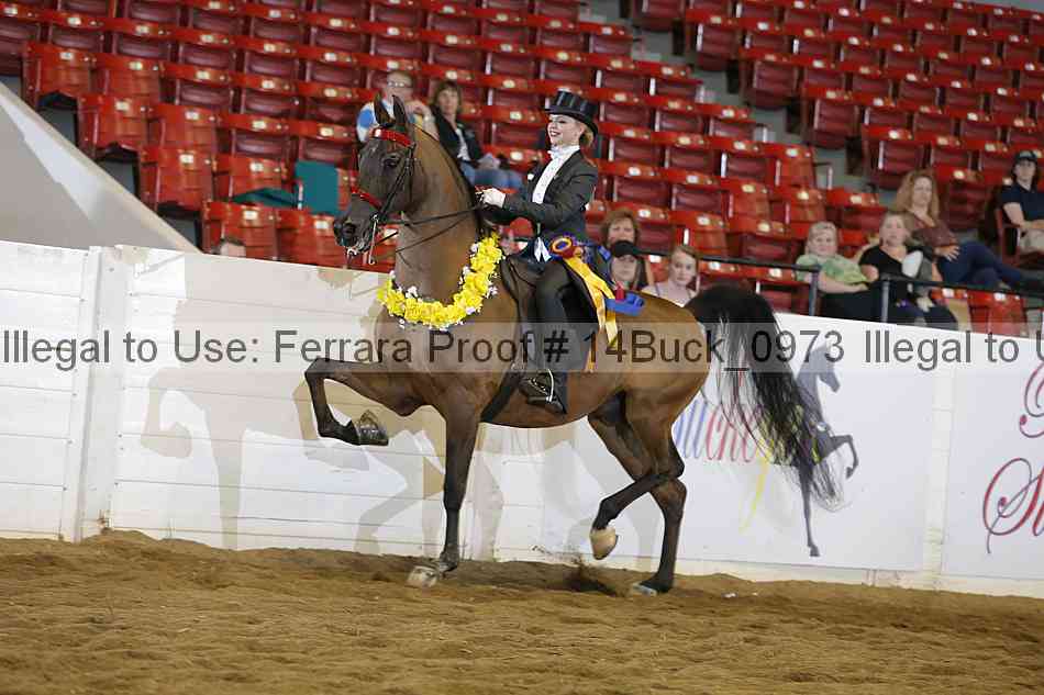 Proof 14buck_0973